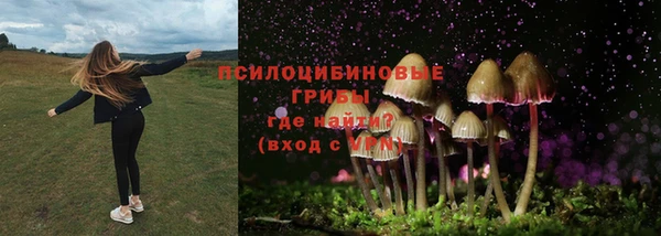 mix Магас